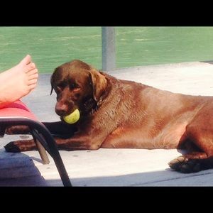 Meet your Posher, Sherry